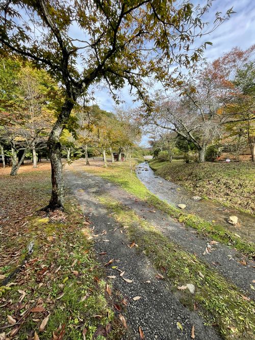 同僚と道志村で2泊3日のふたりキャンプ！ 道志村観光農園オートキャンプ場 ソロキャンプ グループキャンプ フリーサイト ma9さんのキャンプブログ CAMPiii（キャンピー） -キャンプ専用SNS キャンプのすべてがここに集まる-