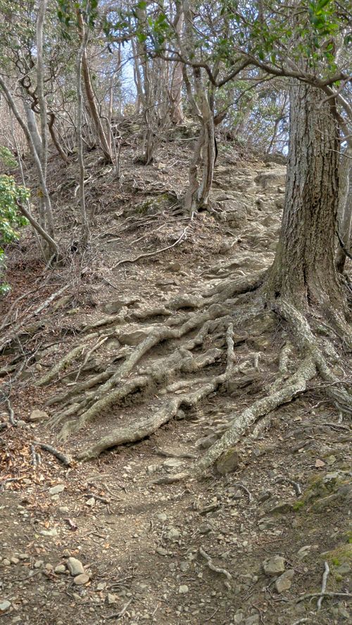 Bカップぐらいが良い 秩父市 ソロキャンプ グループキャンプ 区画サイト オートサイト IZUIZUさんのキャンプブログ CAMPiii（キャンピー） -キャンプ専用SNS キャンプのすべてがここに集まる-