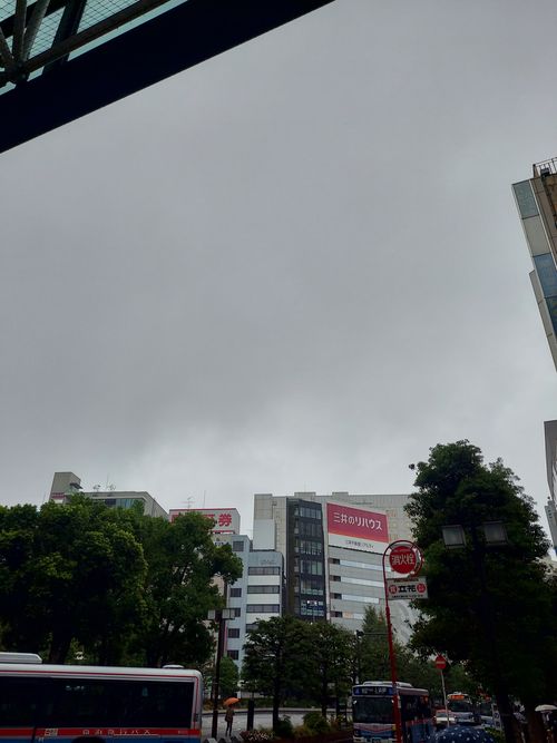 東京行って帰りは電車と徒歩でてくてく👣キャンプ⛺ さいたま桃月園キャンプ場 ソロキャンプ 区画サイト ひろ16さんのキャンプブログ CAMPiii（キャンピー） -キャンプ専用SNS キャンプのすべてがここに集まる-