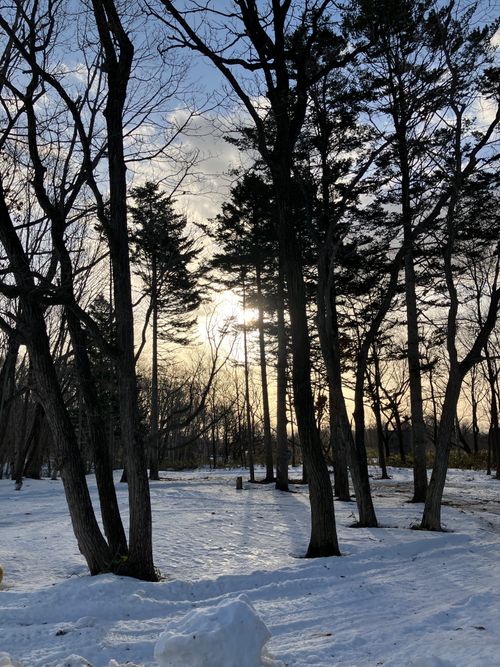 CAMPiii(キャンピー) siroさんのキャンプブログ つどいの館2日目! つどいの館 キャンプ場