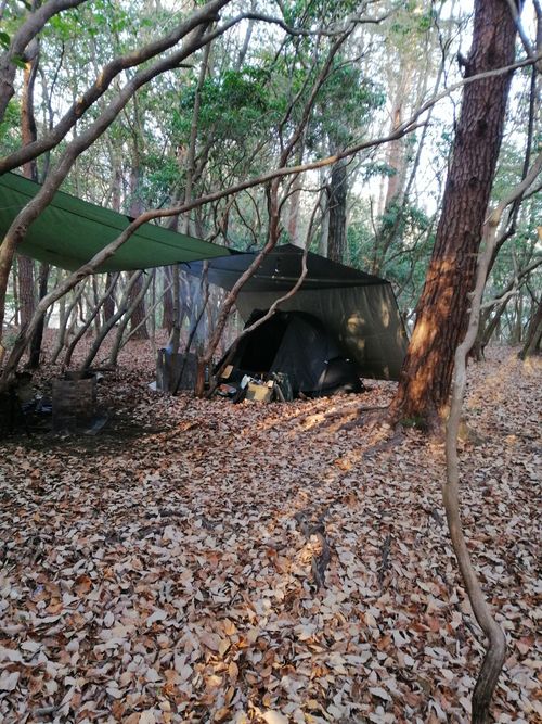 今回もPICA富士西湖 PICA富士西湖 ソロキャンプ グループキャンプ フリーサイト アニさんのキャンプブログ CAMPiii（キャンピー） -キャンプ専用SNS キャンプのすべてがここに集まる-