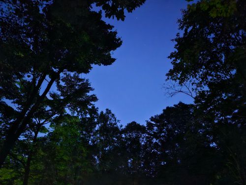 今度こそ避暑キャンプ!?😆 恐羅漢エコロジーキャンプ場 ソロキャンプ 区画サイト オートサイト 三代目とっしぃさんのキャンプブログ CAMPiii(キャンピー) -キャンプ専用SNS キャンプのすべてがここに集まる-