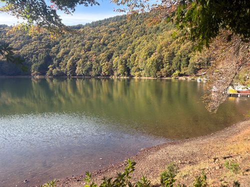 第86話　2泊3日で山梨に遊びにいく！これは惚気記事じゃなく、ちゃんとしたキャンプ記事です(多分) 四尾連湖 龍雲荘キャンプ場 ソロキャンプ グループキャンプ 区画サイト ちろ犬さんのキャンプブログ CAMPiii（キャンピー） -キャンプ専用SNS キャンプのすべてがここに集まる-