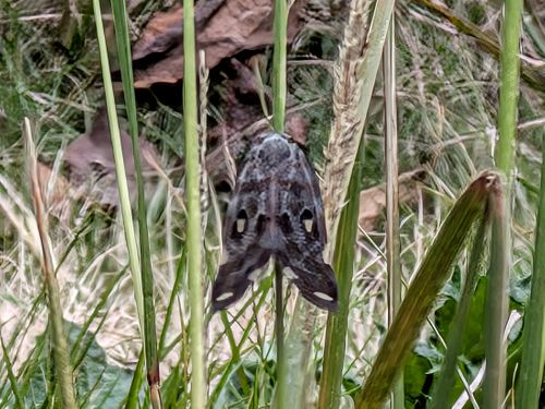 メッタメタにしてやんよ！ 知明湖キャンプ場 ソロキャンプ フリーサイト ぞのさんさんのキャンプブログ CAMPiii（キャンピー） -キャンプ専用SNS キャンプのすべてがここに集まる-