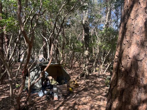 春の始まりキャンプ PICA富士西湖 ソロキャンプ グループキャンプ 区画サイト フリーサイト まっつんさんのキャンプブログ CAMPiii（キャンピー） -キャンプ専用SNS キャンプのすべてがここに集まる-