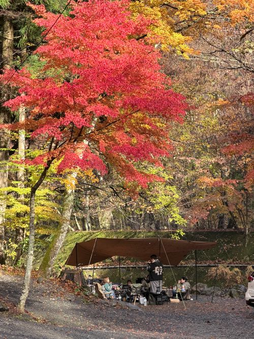 紅葉の山伏グルキャン 山伏オートキャンプ場 グループキャンプ 区画サイト atelierさんのキャンプブログ CAMPiii（キャンピー） -キャンプ専用SNS キャンプのすべてがここに集まる-