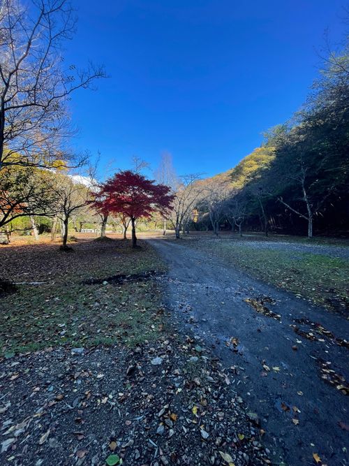 同僚と道志村で2泊3日のふたりキャンプ！ 道志村観光農園オートキャンプ場 ソロキャンプ グループキャンプ フリーサイト ma9さんのキャンプブログ CAMPiii（キャンピー） -キャンプ専用SNS キャンプのすべてがここに集まる-