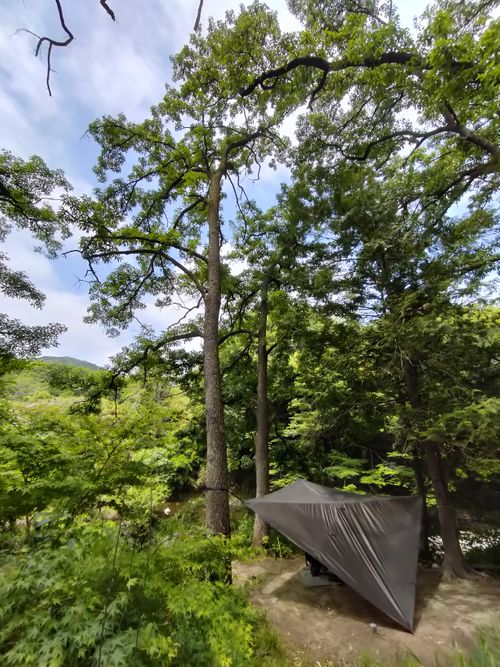 CAMPiii（キャンピー） ぼっちオヤジさんのキャンプブログ 何も考えないって最高っ！！ 月川荘キャンプ場 林間サイト