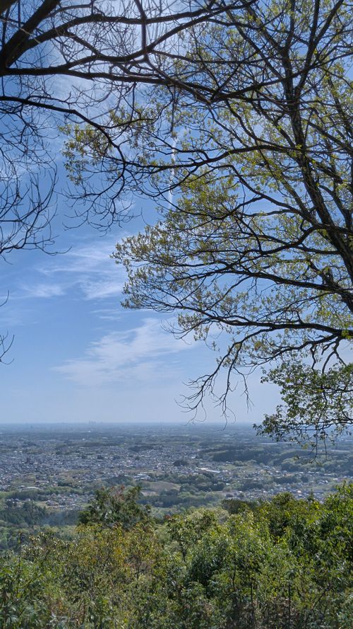 日和田山 ともえ川Park ソロキャンプ オートサイト フリーサイト IZUIZUさんのキャンプブログ CAMPiii（キャンピー） -キャンプ専用SNS キャンプのすべてがここに集まる-