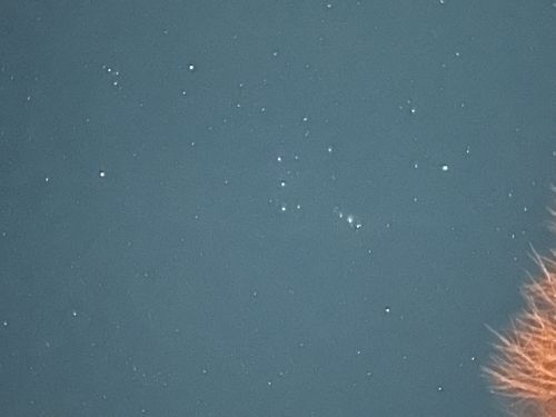 2025 LAST CAMP🏕 ともえ川Park ソロキャンプ グループキャンプ 区画サイト Genさんのキャンプブログ CAMPiii（キャンピー） -キャンプ専用SNS キャンプのすべてがここに集まる-