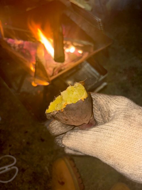 友人との貸切キャンプ🏕️ 大多喜SABOキャンプ場 グループキャンプ フリーサイト オートサイト シロさんのキャンプブログ CAMPiii（キャンピー） -キャンプ専用SNS キャンプのすべてがここに集まる-