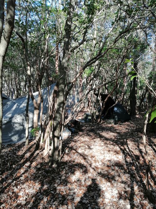 今年ラストの PICA富士西湖 ソロキャンプ グループキャンプ フリーサイト アニさんのキャンプブログ CAMPiii（キャンピー） -キャンプ専用SNS キャンプのすべてがここに集まる-