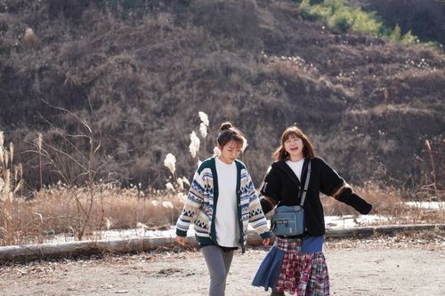 らにちゃんとしっぽり年末がやっぱりグルになる年末キャンプ🏕 ともえ川Park グループキャンプ 区画サイト ぷりんさんのキャンプブログ CAMPiii（キャンピー） -キャンプ専用SNS キャンプのすべてがここに集まる-