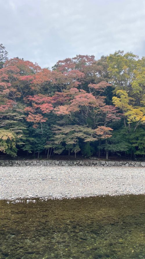 紀伊半島1/3キャンプ（お伊勢参り） 神岳テラス ファミリーキャンプ 区画サイト フォレキャンさんのキャンプブログ CAMPiii（キャンピー） -キャンプ専用SNS キャンプのすべてがここに集まる-