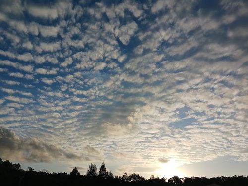  温泉を楽しみ、御岳と乗鞍を望む標高1400mの絶景キャンプで秋を食らう【Day2】参った(*_*;！ N.A.O.高山すずらん高原キャンプ場 ファミリーキャンプ オートサイト キャンピングカー vios outdoor'sさんのキャンプブログ CAMPiii（キャンピー） -キャンプ専用SNS キャンプのすべてがここに集まる-