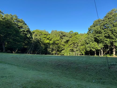 「やっぱ夏は山でしょ!」のんびりキャンプ 聖湖キャンプ場 ソロキャンプ フリーサイト yoshiさんのキャンプブログ CAMPiii(キャンピー) -キャンプ専用SNS キャンプのすべてがここに集まる-