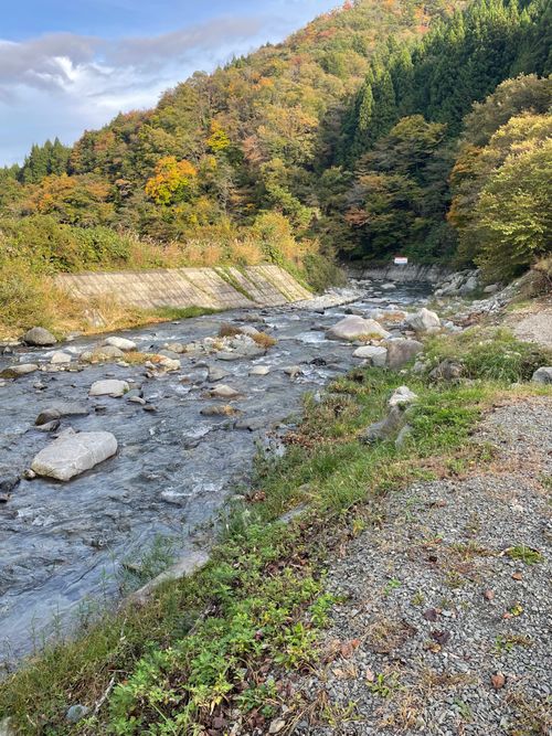 同僚と道志村で2泊3日のふたりキャンプ！ 道志村観光農園オートキャンプ場 ソロキャンプ グループキャンプ フリーサイト ma9さんのキャンプブログ CAMPiii（キャンピー） -キャンプ専用SNS キャンプのすべてがここに集まる-