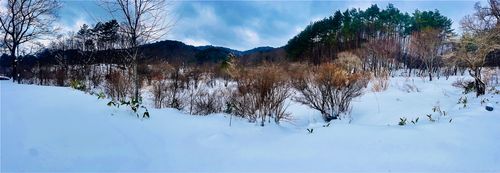 念願の雪中⛄️おじおばうさキャン△ in 板木まきばの里キャンプ場 〜 CAMP NO.173 小板まきばの里キャンプ場 ファミリーキャンプ グループキャンプ 区画サイト おじキャン△さんのキャンプブログ CAMPiii（キャンピー） -キャンプ専用SNS キャンプのすべてがここに集まる-
