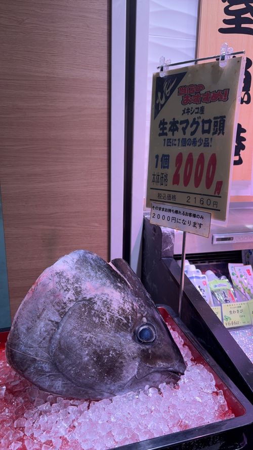 第96話　みんなGWに遠征しってていいなぁ〜私は暫くキャンプできないなぁって思ったけどマグロの頭が売ってたからキャンプするよ！ クロちゃん自由キャンプサイト ソロキャンプ フリーサイト ちろ犬さんのキャンプブログ CAMPiii（キャンピー） -キャンプ専用SNS キャンプのすべてがここに集まる-