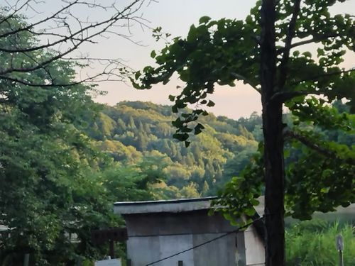 真夏のキャンプ でも池の近くは過ごしやすく、穴場キャンプ場だった 大平森林公園 ファミリーキャンプ 区画サイト オートサイト セツさんのキャンプブログ CAMPiii(キャンピー) -キャンプ専用SNS キャンプのすべてがここに集まる-