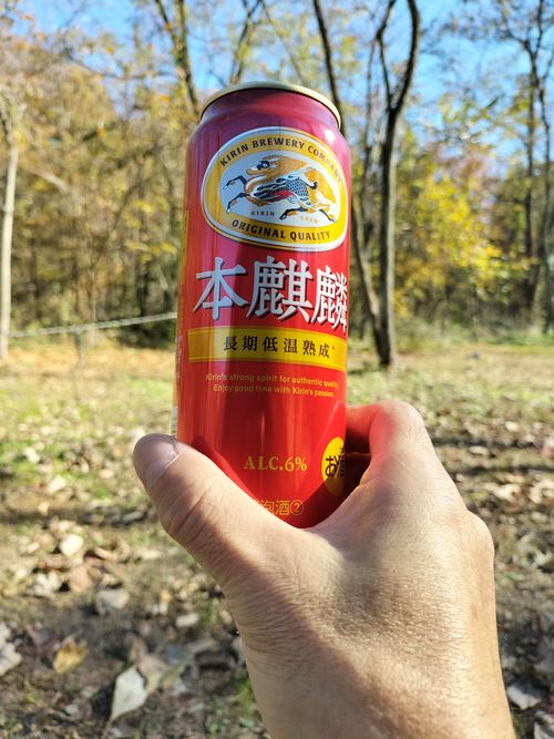 11月キャンプ⛺️スタート😁 武甲キャンプ場 ソロキャンプ 区画サイト ぼっちオヤジさんのキャンプブログ CAMPiii（キャンピー） -キャンプ専用SNS キャンプのすべてがここに集まる-