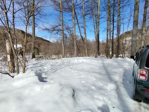 雪中が好きです 飛騨荘川 一色の森キャンプ場 ソロキャンプ グループキャンプ 区画サイト オートサイト たかたかぽんたさんのキャンプブログ CAMPiii（キャンピー） -キャンプ専用SNS キャンプのすべてがここに集まる-