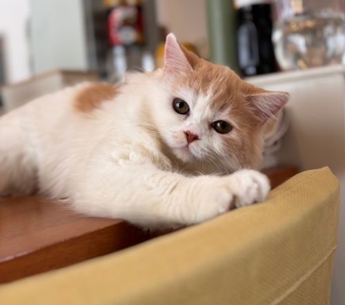 キャンプ解禁🎉＆乾杯🍻青木ヶ原樹海を歩く!? 「フラット登山」第2弾 DOTEKAGE CAMP GROUND 区画サイト Jimko☆さんのキャンプブログ CAMPiii（キャンピー） -キャンプ専用SNS キャンプのすべてがここに集まる-