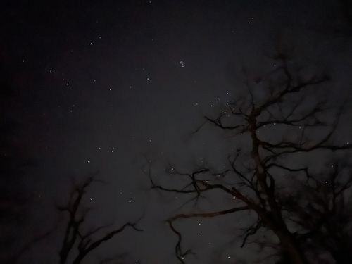 2026年キャンプ初め ソロキャンプ YOTIさんのキャンプブログ CAMPiii（キャンピー） -キャンプ専用SNS キャンプのすべてがここに集まる-