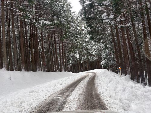 エピローグ　 埼玉県 ソロキャンプ ちろ犬さんのキャンプブログ CAMPiii（キャンピー） -キャンプ専用SNS キャンプのすべてがここに集まる-