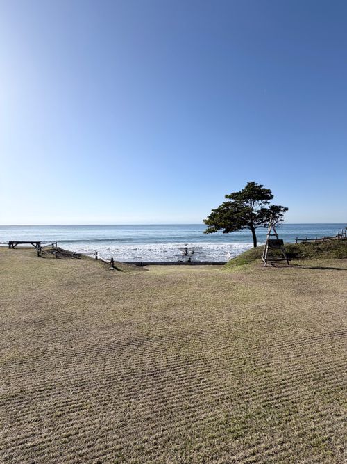 桜満開 can feel camp Camping Spot Hamano ソロキャンプ フリーサイト atelierさんのキャンプブログ CAMPiii（キャンピー） -キャンプ専用SNS キャンプのすべてがここに集まる-