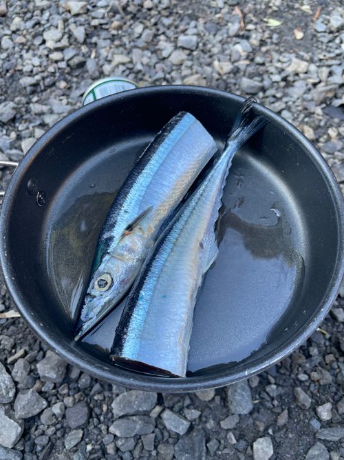 今年の締めキャン！徒歩ソロで行く大岳キャンプ場。徒歩の限界と大トラブルの旅 大岳キャンプ場 上流サイト ソロキャンプ フリーサイト ma9さんのキャンプブログ CAMPiii（キャンピー） -キャンプ専用SNS キャンプのすべてがここに集まる-