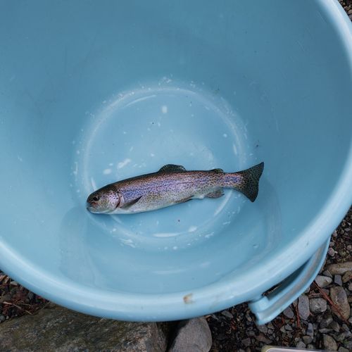 七輪で味わう釣りキャンプ🎣 ニュー田代オートキャンプ場 ファミリーキャンプ 区画サイト こば  さんのキャンプブログ CAMPiii（キャンピー） -キャンプ専用SNS キャンプのすべてがここに集まる-
