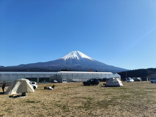 トマトっぱら 富士高原トマトフィールド ファミリーキャンプ フリーサイト オートサイト Kazu Aさんのキャンプブログ CAMPiii（キャンピー） -キャンプ専用SNS キャンプのすべてがここに集まる-