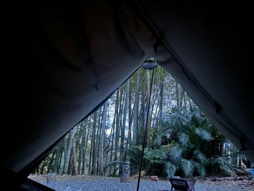 花見キャンプのはずなのに🤔 伊豆キャンパーズヴィレッジ ソロキャンプ フリーサイト Genさんのキャンプブログ CAMPiii（キャンピー） -キャンプ専用SNS キャンプのすべてがここに集まる-