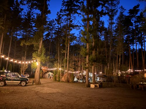 キャンプ解禁🎉＆乾杯🍻青木ヶ原樹海を歩く!? 「フラット登山」第2弾 DOTEKAGE CAMP GROUND 区画サイト Jimko☆さんのキャンプブログ CAMPiii（キャンピー） -キャンプ専用SNS キャンプのすべてがここに集まる-
