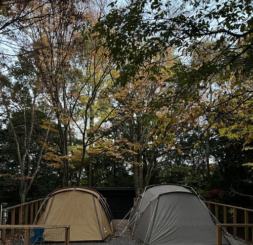 秋晴れキャンプ🏕️🍂 パークフィールド スノーピーク豊田鞍ヶ池 ファミリーキャンプ グループキャンプ 区画サイト 庭キャン+さんのキャンプブログ CAMPiii（キャンピー） -キャンプ専用SNS キャンプのすべてがここに集まる-
