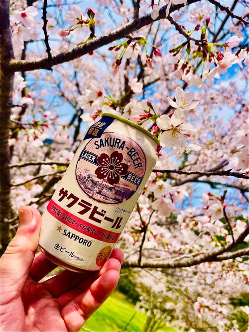 リベンジお花見🌸 & 新幕お試しおじうさキャン△ in 阿武川温泉公園 〜 CAMP NO.183 萩阿武川温泉公園（キャンプ可） ソロキャンプ ファミリーキャンプ フリーサイト おじキャン△さんのキャンプブログ CAMPiii（キャンピー） -キャンプ専用SNS キャンプのすべてがここに集まる-