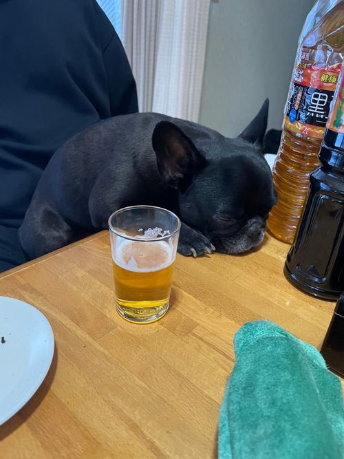 粉雪が満月にキラキラ光る露天風呂で缶ビールをプシュッ！今年のキャンプスタート！ とことん山キャンプ場 ファミリーキャンプ フリーサイト ロコCamp0828さんのキャンプブログ CAMPiii（キャンピー） -キャンプ専用SNS キャンプのすべてがここに集まる-