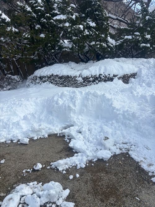 積雪｢ゼロcm」からの➡️➡️➡️➡️暴風のち災害級大雪キャンプ⛄️ 塩原グリーンビレッジ Oniyomeさんのキャンプブログ CAMPiii（キャンピー） -キャンプ専用SNS キャンプのすべてがここに集まる-