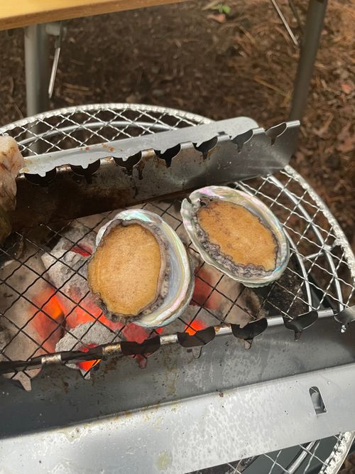 マジで寒かった！本栖湖キャンプ場で同僚とのデュオキャンプ 本栖湖キャンプ場 ソロキャンプ グループキャンプ フリーサイト ma9さんのキャンプブログ CAMPiii（キャンピー） -キャンプ専用SNS キャンプのすべてがここに集まる-