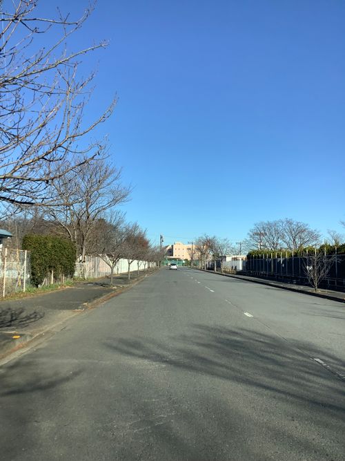 Vol.110 25/NO.29 今年最後の集い‼️ 〆は牡丹鍋で‼️ 坂戸市 ソロキャンプ フリーサイト 🔥焚き火🔥さんのキャンプブログ CAMPiii（キャンピー） -キャンプ専用SNS キャンプのすべてがここに集まる-