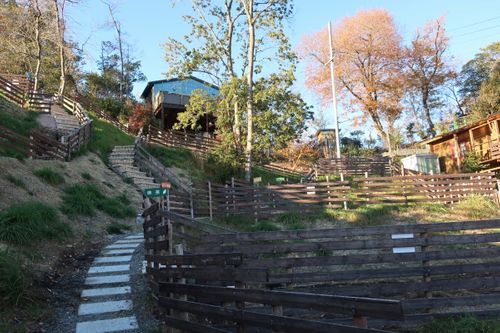 初めてのキャンプ場です😊 南山城村の隠れ家 ソロキャンプ 区画サイト シゲさんのキャンプブログ CAMPiii（キャンピー） -キャンプ専用SNS キャンプのすべてがここに集まる-
