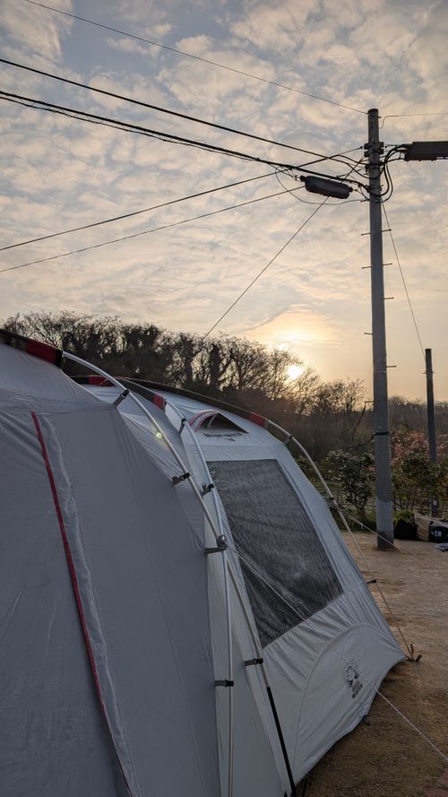 ひな祭り(だったね)🎎WBC応援キャンプ⚾️ たまなフラワーパーク ソロキャンプ ファミリーキャンプ グループキャンプ 区画サイト ヒゲキャンさんのキャンプブログ CAMPiii（キャンピー） -キャンプ専用SNS キャンプのすべてがここに集まる-