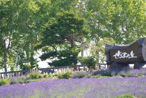 北海道初夏の旅 ENJOY THE OUTDOORSさんのキャンプブログ CAMPiii（キャンピー） -キャンプ専用SNS キャンプのすべてがここに集まる-