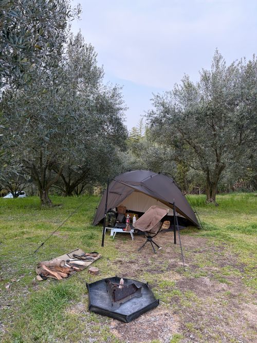 CAMPiii（キャンピー） ゆうさんさんのキャンプブログ オリーブ畑で オキオリーブ ガーデン