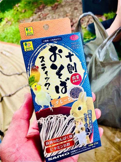 8/7は《キャンプ記念日⛺️》夏の想い出おじ🐰キャン△ in 阿武川温泉公園 〜 CAMP NO.206 萩阿武川温泉公園（キャンプ可） ソロキャンプ ファミリーキャンプ フリーサイト おじキャン△さんのキャンプブログ CAMPiii（キャンピー） -キャンプ専用SNS キャンプのすべてがここに集まる-