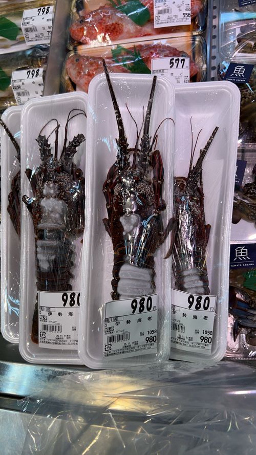 修行Camp REWILD MUSIC FES CAMP(リワイルドミュージックフェスキャンプ) ｜千葉・勝浦で音楽キャンプ＆グランピング グループキャンプ ファミリーキャンプ 区画サイト つばぱさんのキャンプブログ CAMPiii（キャンピー） -キャンプ専用SNS キャンプのすべてがここに集まる-