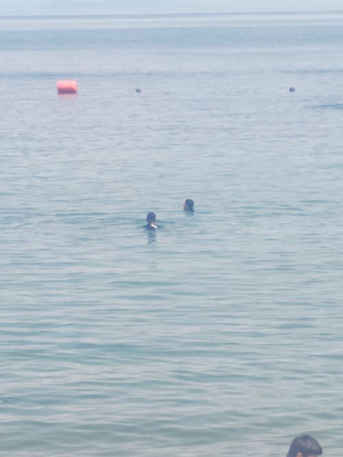 夏休み早よ終わらんかいねぇ&hellip; 片添ケ浜海浜公園 ファミリーキャンプ フリーサイト HARUMAGEDONさんのキャンプブログ CAMPiii（キャンピー） -キャンプ専用SNS キャンプのすべてがここに集まる-