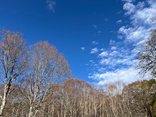 CAMPiii(キャンピー) YOTIさんのキャンプブログ ま、まさかの