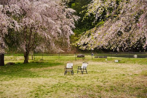 贖罪キャンプ🏕️相方のご機嫌とらないと😱 リバーランズ角川 グループキャンプ skitさんのキャンプブログ CAMPiii（キャンピー） -キャンプ専用SNS キャンプのすべてがここに集まる-